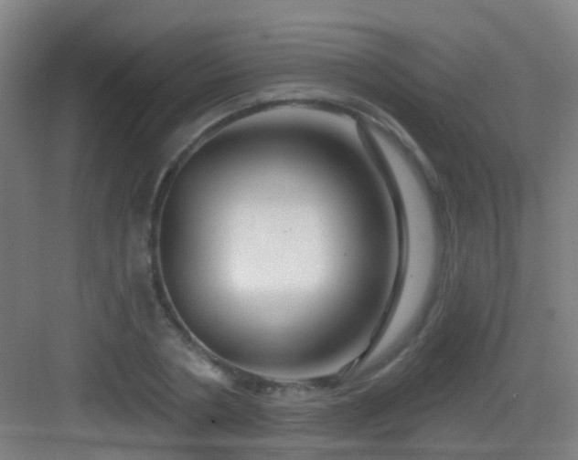 X0000083050786200702091437