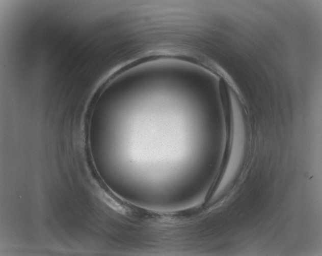 X0000083050787200702091437
