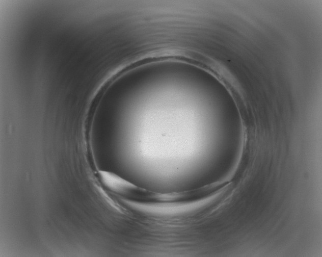 X0000083050789200702091437