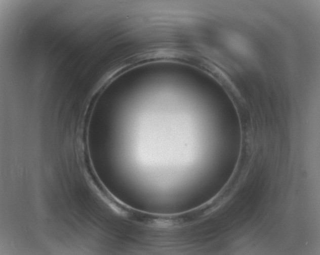 X0000083050794200702091437