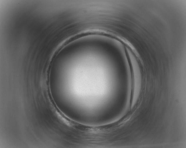 X0000083050799200702091437