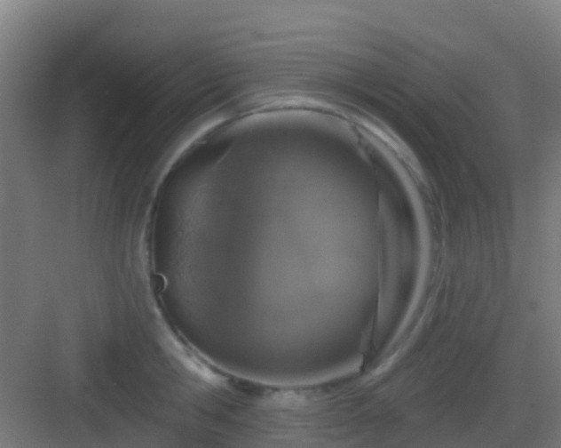 X0000083050806200702091436