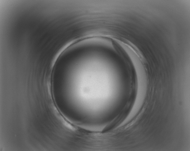 X0000083050812200702091436