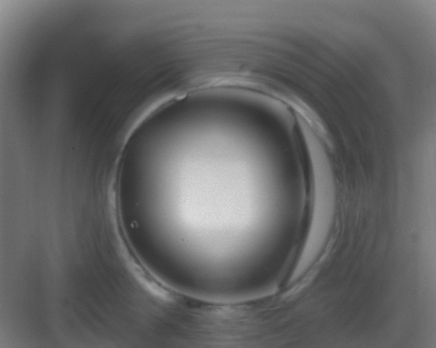 X0000083050814200702091436