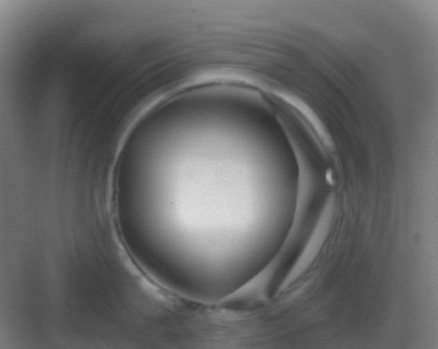 X0000083050815200702091436