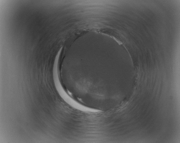X0000083050818200702091435