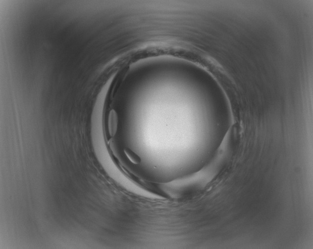 X0000083050822200702091436