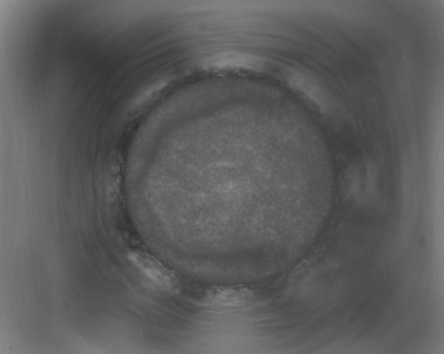 X0000083050824200702091436
