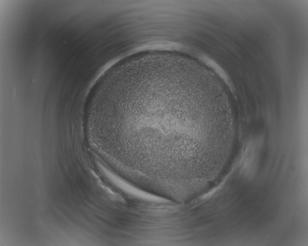 X0000083050829200702091436