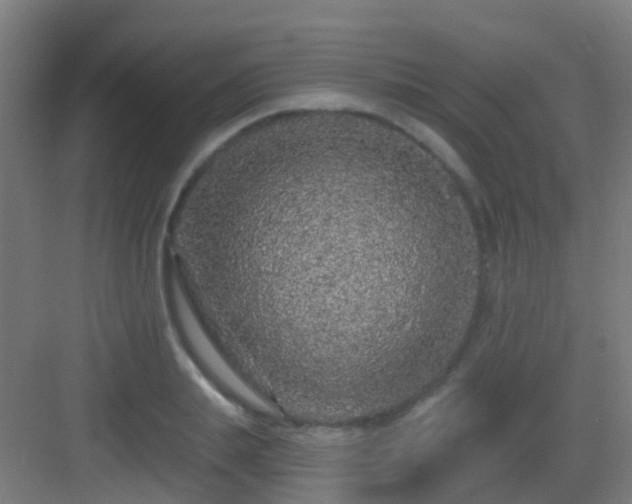 X0000083050839200702091436