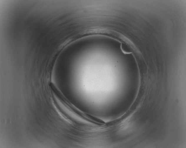 X0000083050841200702091436