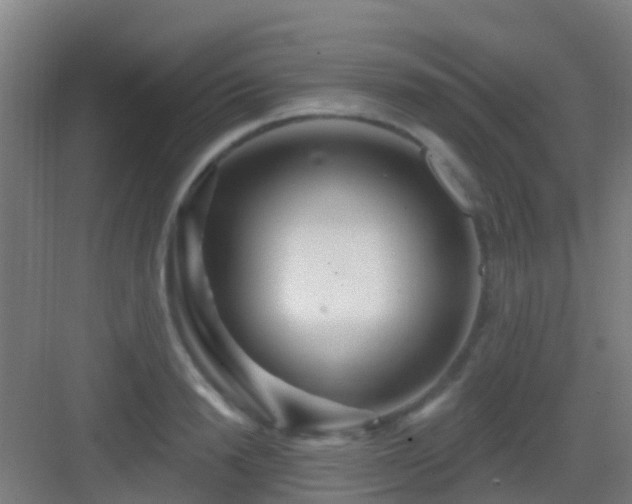 X0000083050846200702091436