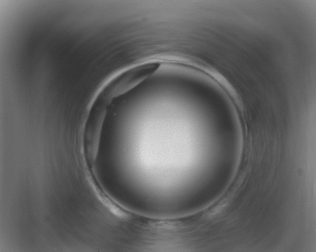X0000083050862200702091436