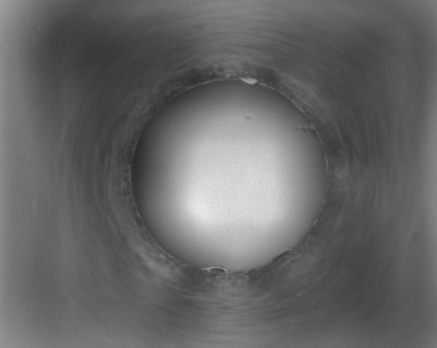 X0000083050865200702091435