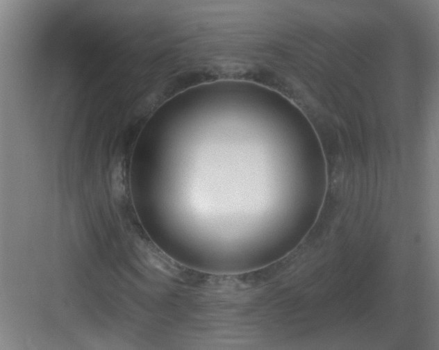X0000083050866200702091435