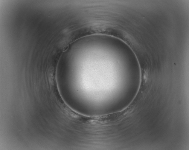 X0000083050867200702091435