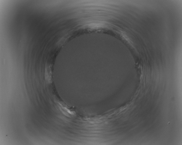 X0000083050868200702091435