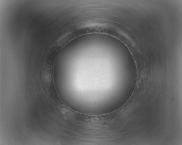X0000083050869200702091435