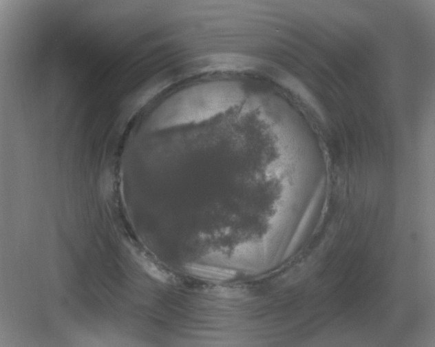 X0000083050874200702091435