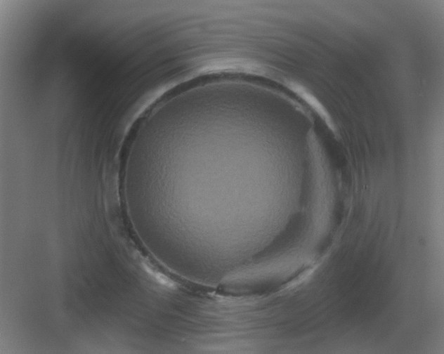 X0000083050877200702091435