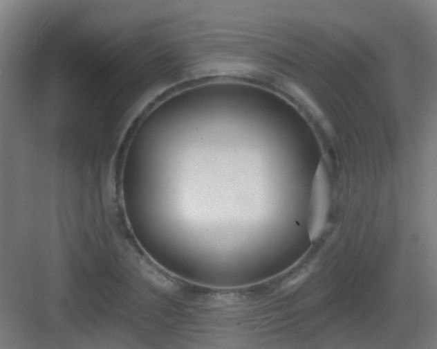 X0000083050883200702091435