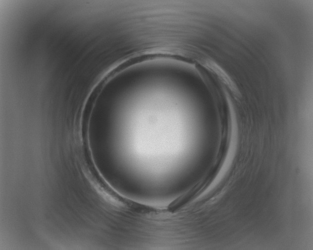 X0000083050884200702091435