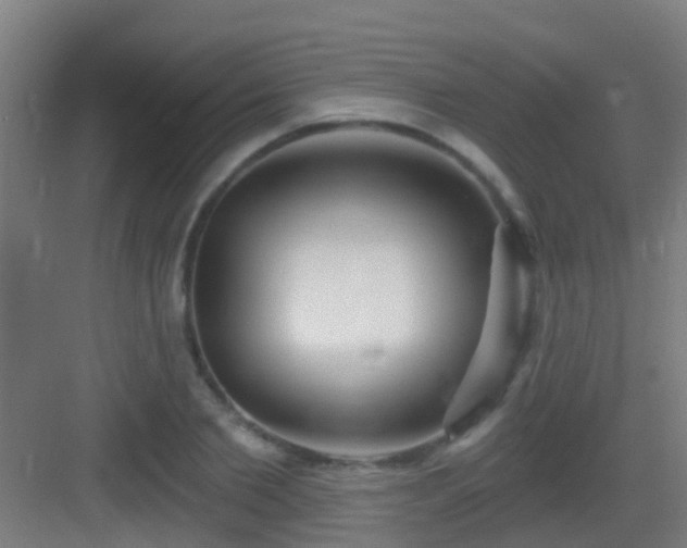 X0000083050885200702091435