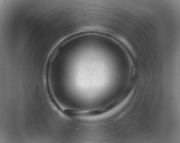 X0000083050888200702091435