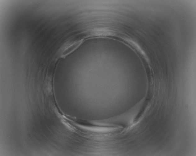 X0000083050889200702091435