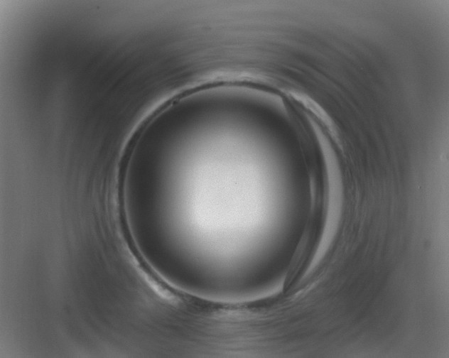 X0000083050894200702091435