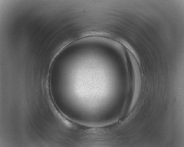 X0000083050906200702091435