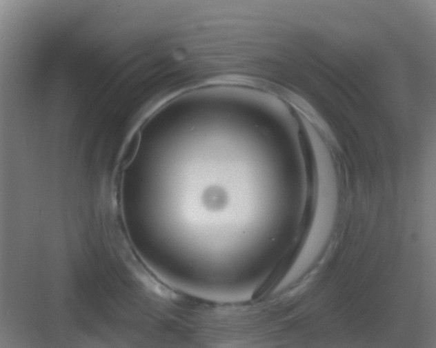 X0000083050908200702091435