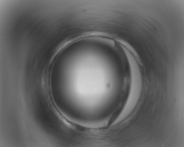 X0000083050910200702091435