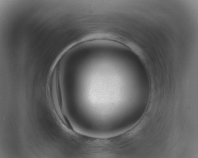 X0000083050912200702091435