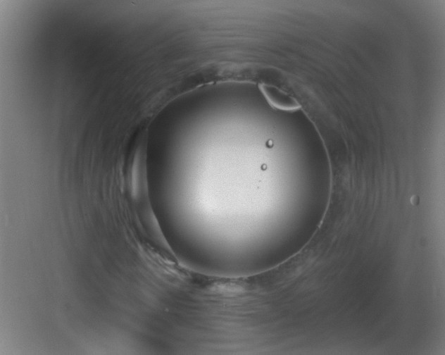 X0000083050914200702091434