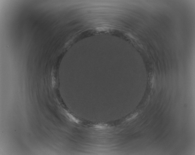 X0000083050916200702091434