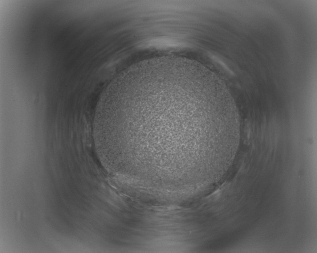 X0000083050917200702091434