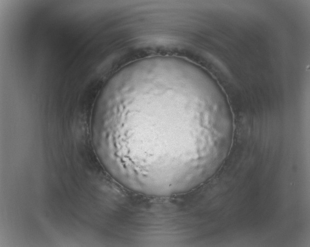 X0000083050918200702091434