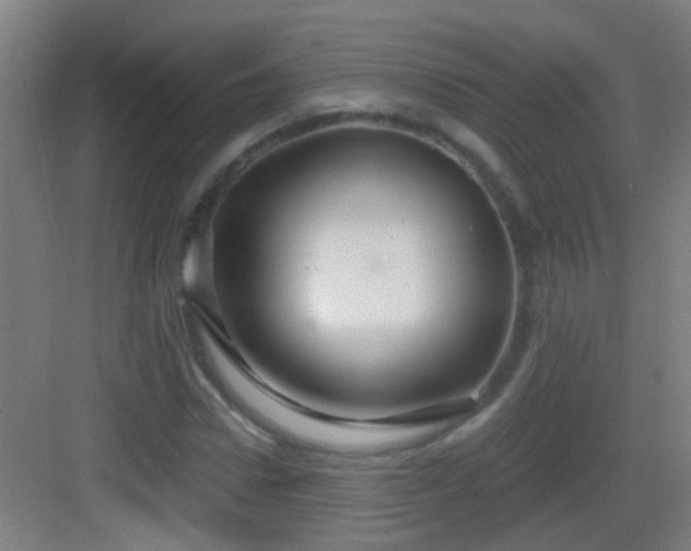 X0000083050922200702091434