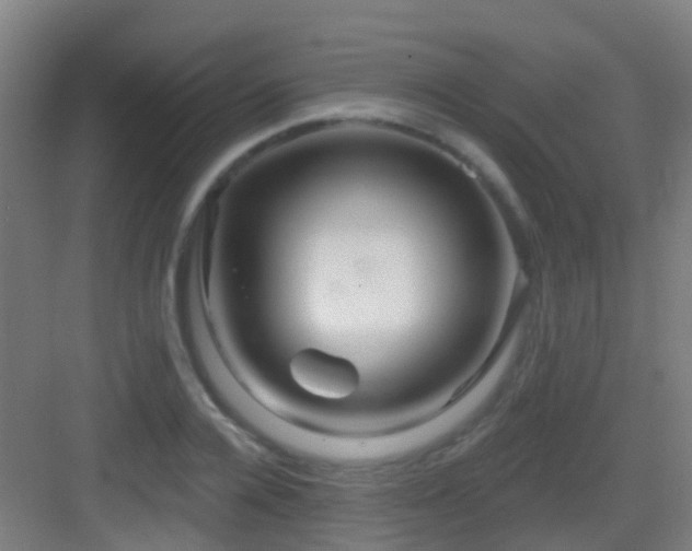 X0000083050936200702091434