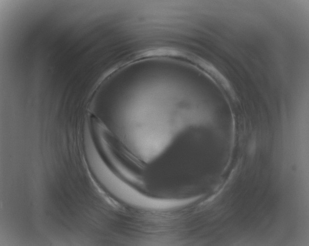 X0000083050945200702091434