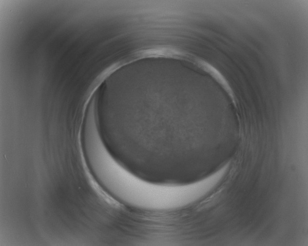 X0000083050946200702091434