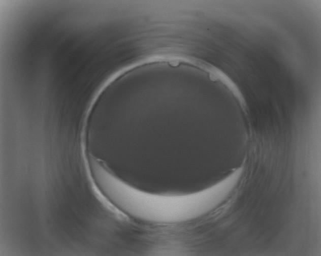 X0000083050958200702091435