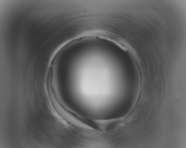 X0000083050960200702091435