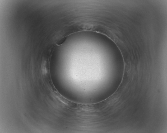 X0000083050962200702091434