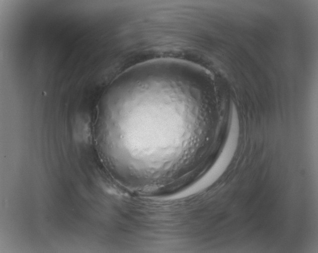 X0000083050963200702091434