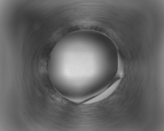 X0000083050964200702091434