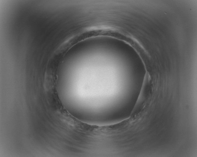 X0000083050967200702091434