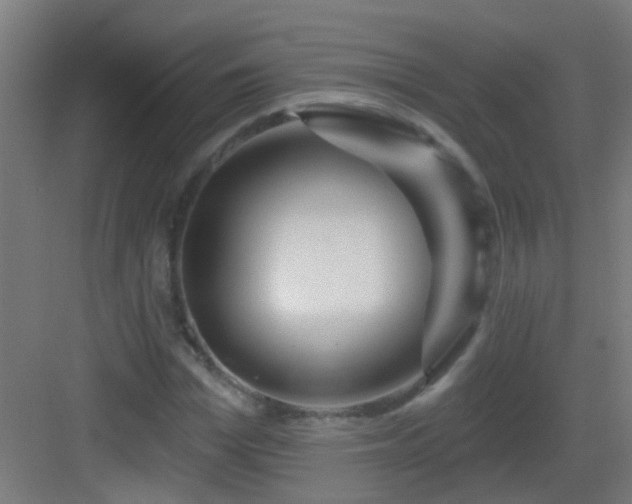 X0000083050969200702091434