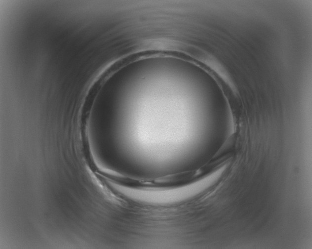 X0000083050972200702091434